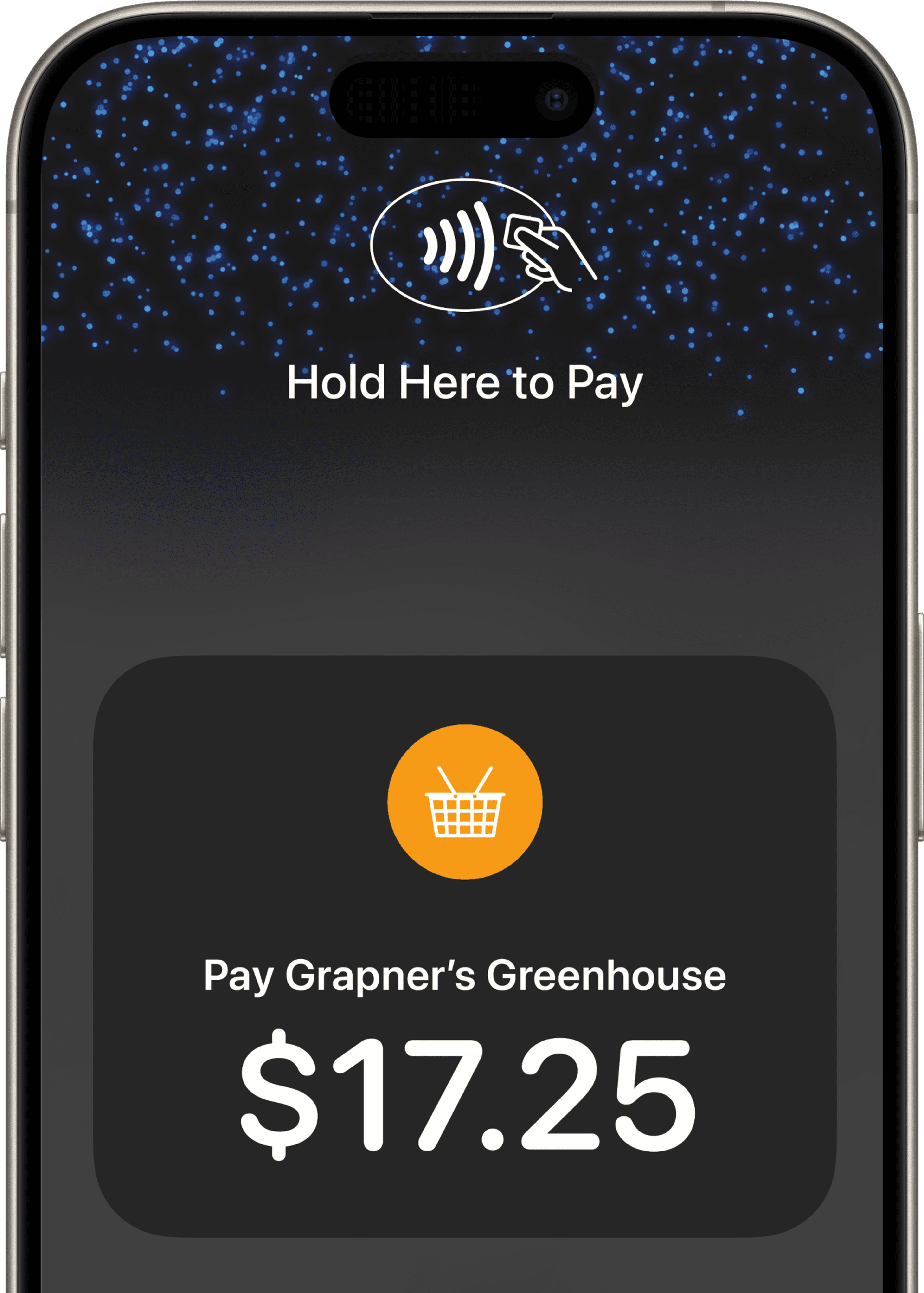 Zeller App - Apple Pay Screen