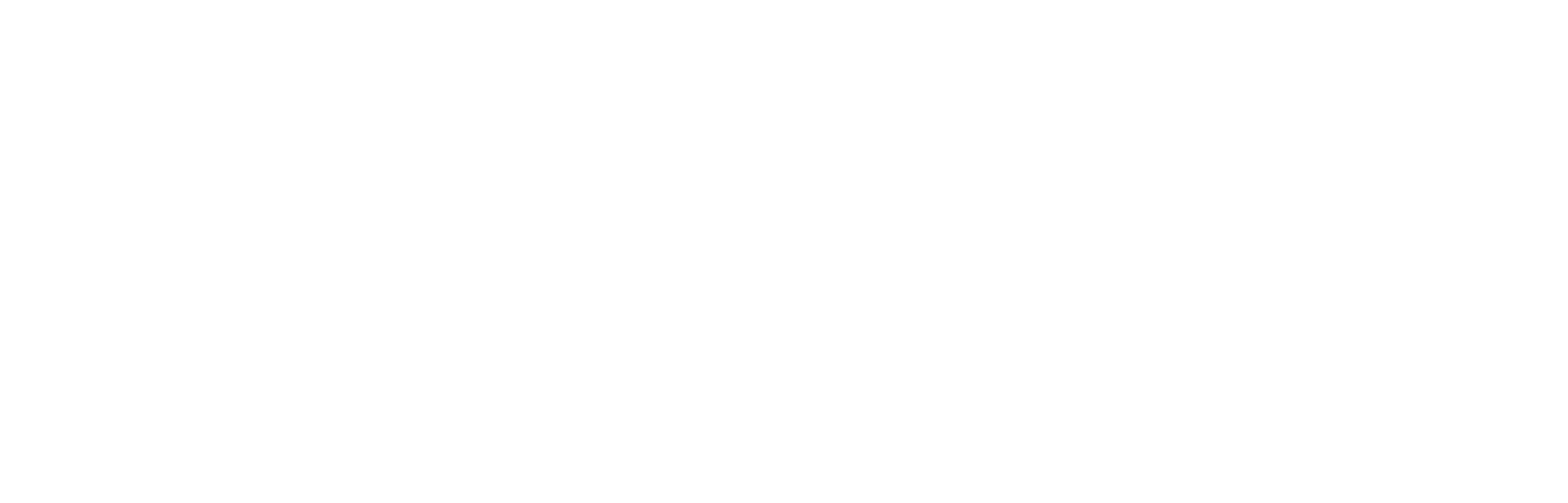 Megabus logo