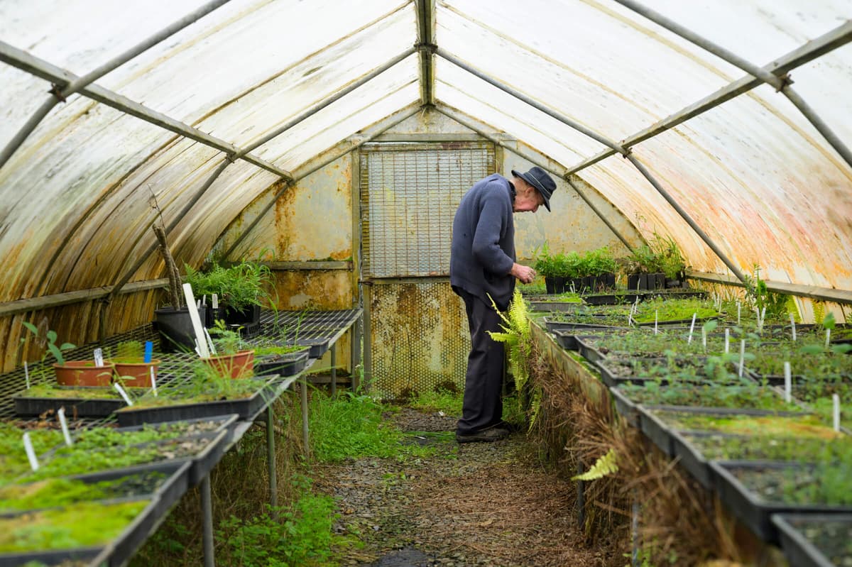 Blog-2408-Regional-Grant-Winner-Riverdene-Nursery-02