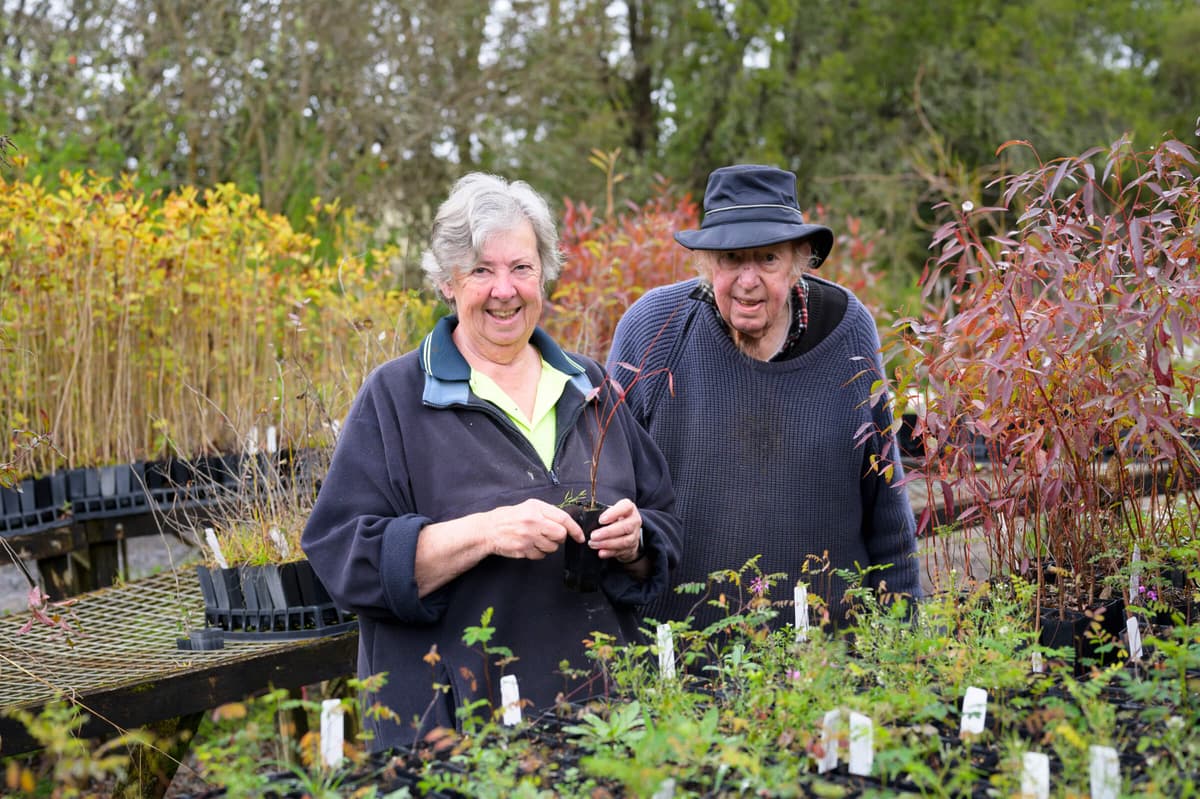 Blog-2408-Regional-Grant-Winner-Riverdene-Nursery-01