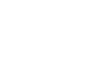 Zii POS