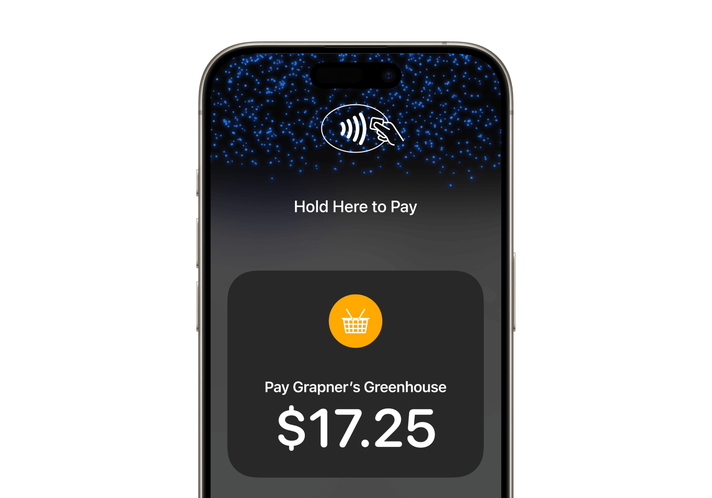 X-2311-Tap-to-Pay-on-iPhone-v1